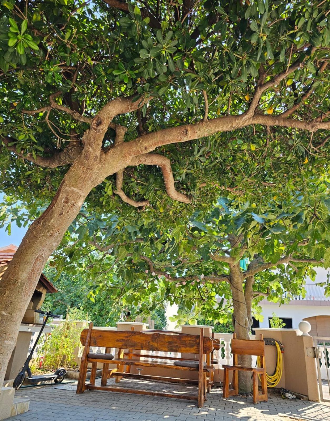 Apartment Ivica Vir Exterior photo